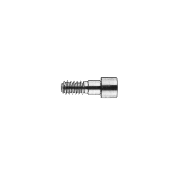 Stegschraube für Modellierhilfe