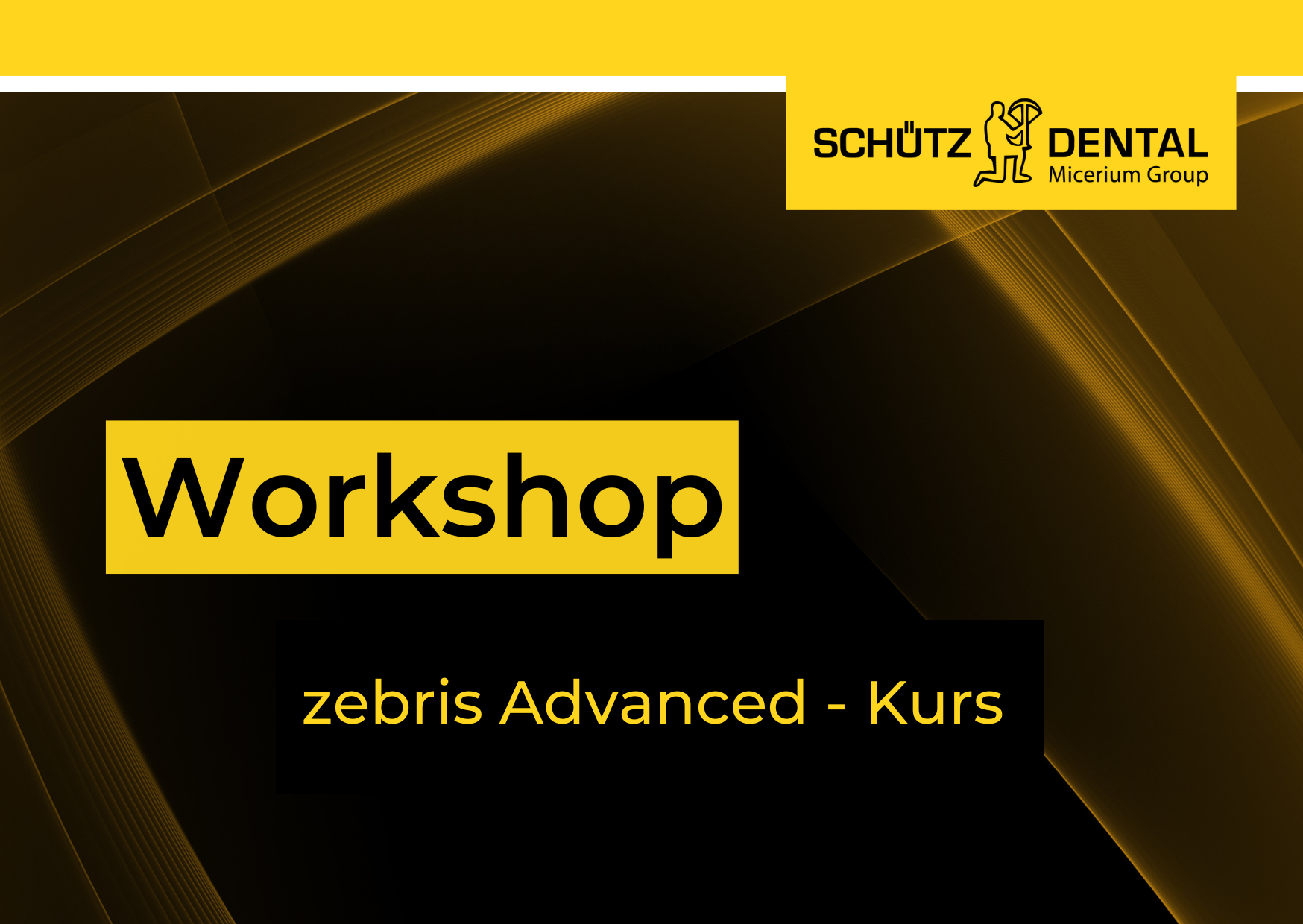 zebris Advanced-Kurs "von Spezialisten, mit Spezialisten"