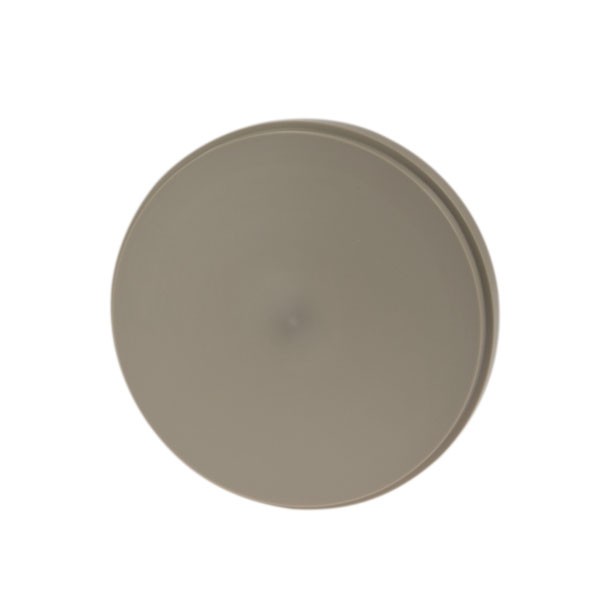 Tizian Blank PEEK 98 x 16 mm