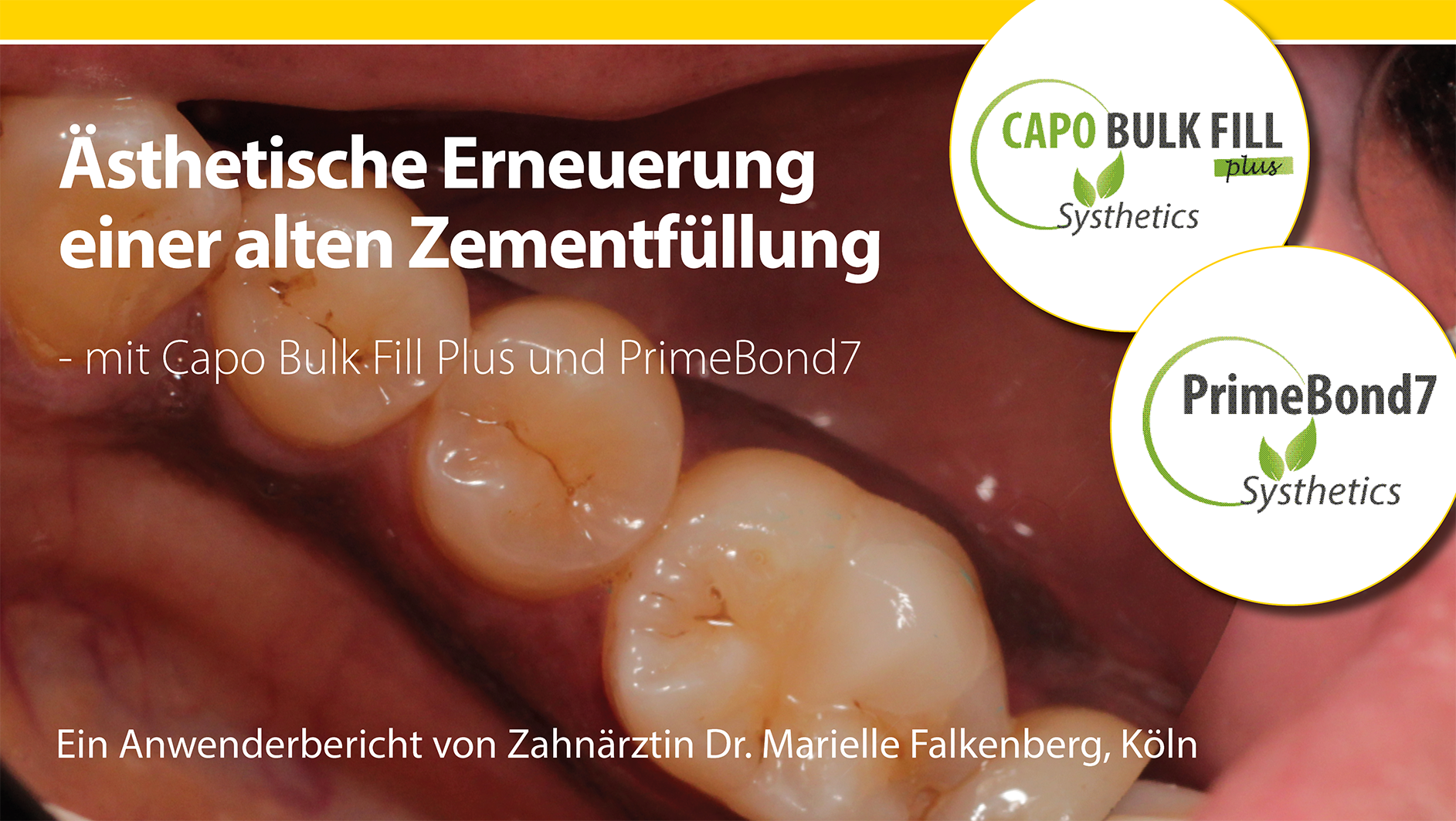 Titelbild1