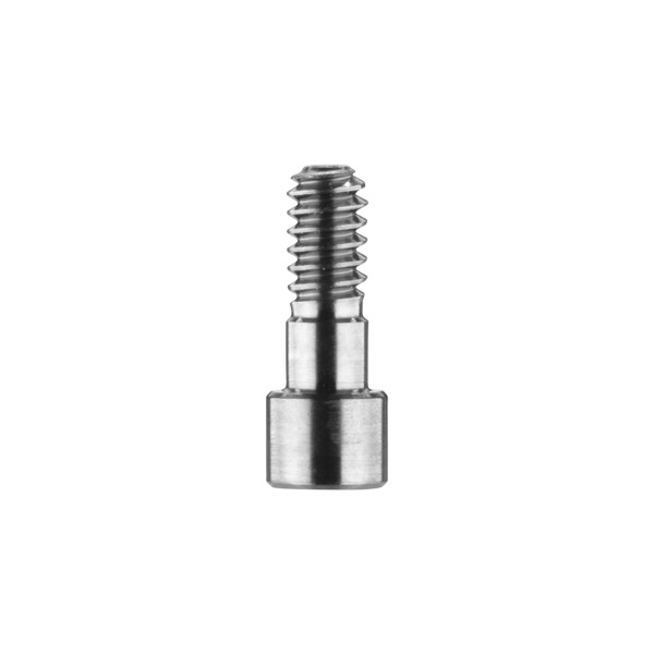 Stegschraube für Modellierhilfe (SAE)