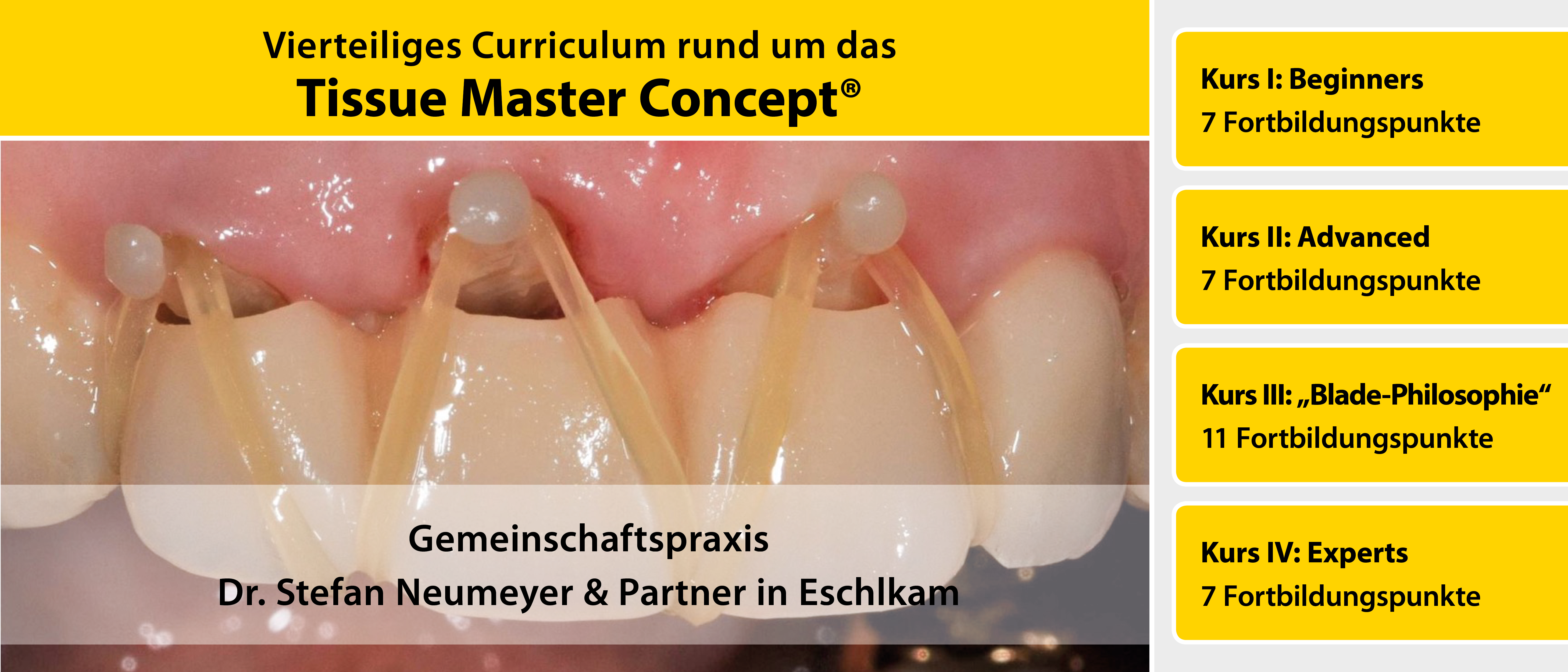 Curriculum: Das Tissue Master Concept 2019 | Kurs: IMPLA Curriculum: Das Tissue Master Concept 2019 | Kurs: IMPLA