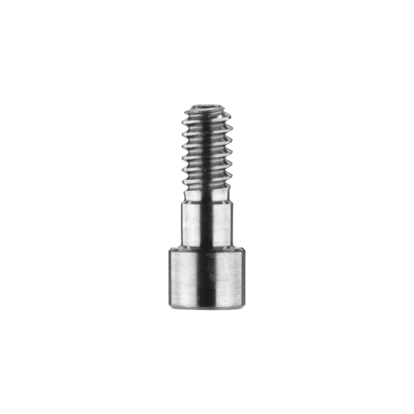 Stegschraube für Modellierhilfe (SAE)
