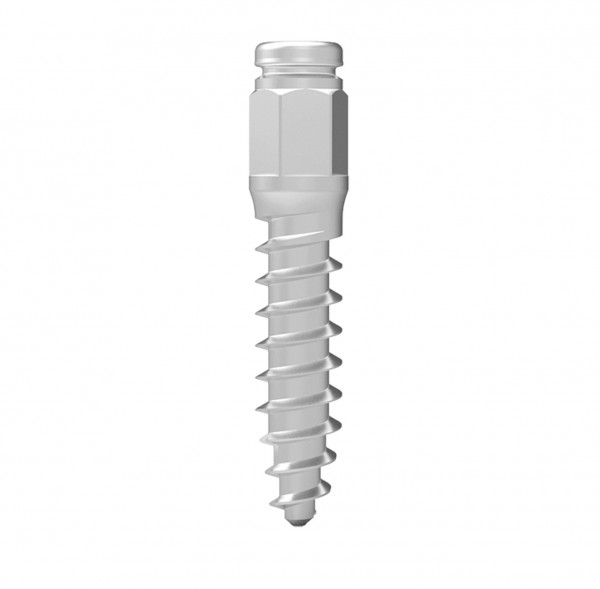 Interim Implantat, 10 Stück
